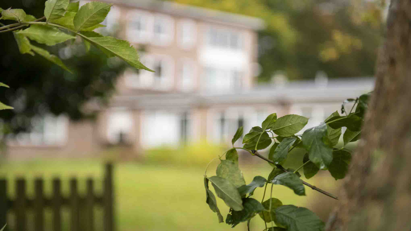 De Breehof tuin  