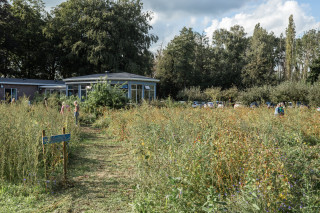 Help kwetsbare mensen aan een fijne buitenplek 