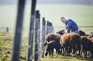 ‘’Ik ontmoet hier kleurrijke, leuke figuren’’