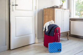 Uit huis geplaatst 