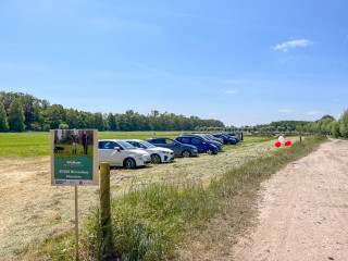 Natuur verbindt mensen met zichzelf 