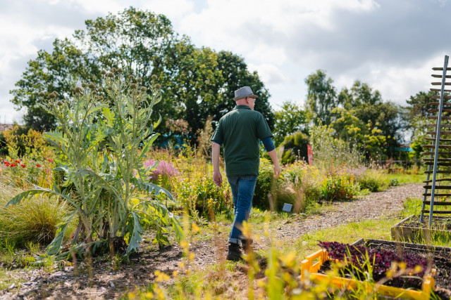 50|50 Green tuin