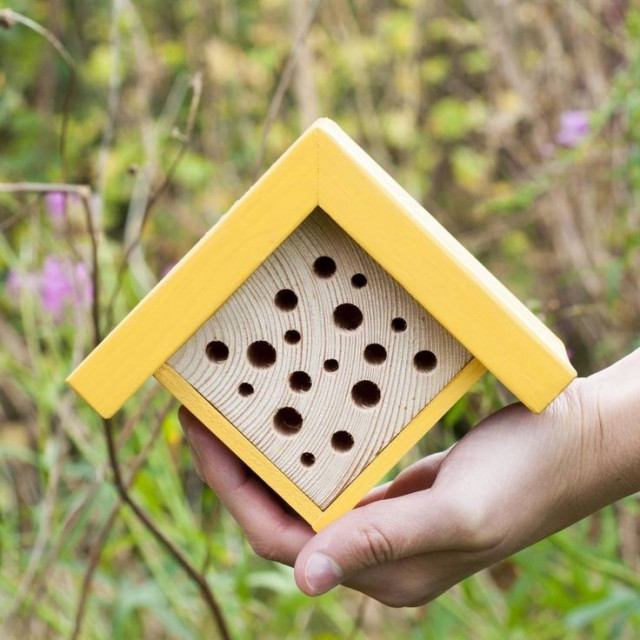 Insectenhuisje