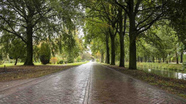 De Breehof omgeving