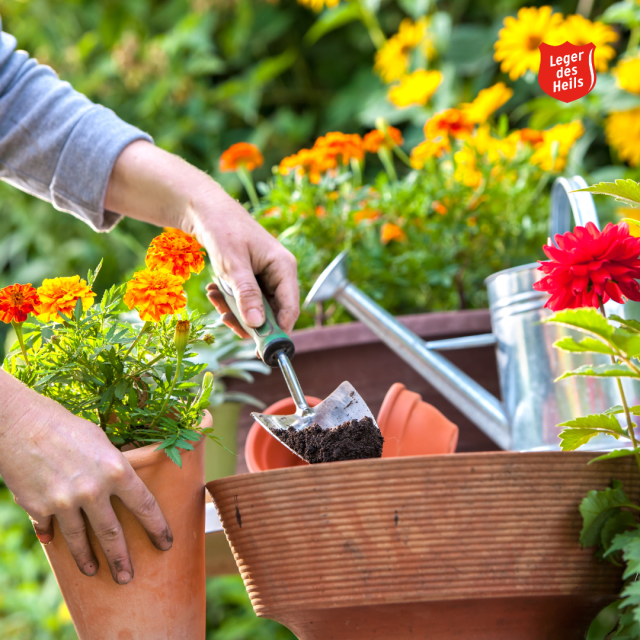 Vrijwilligers Tuin en groen